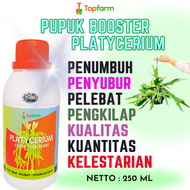 Pupuk Platycerium Cair / Pupuk Platycerium / Platycerium Wandae Papua / Pupuk Tanaman Platycerium / 