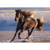 Jigsaw Puzzle: Clementoni - Free Horse - 1000 Pieces