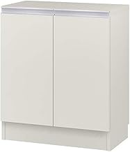 Iwatsuki (IWATSUKI) Storage Shelf with Door to Order Made in 1cm Units Within Width 17.7-47.2 inches