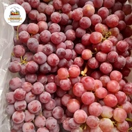 Buah Anggur Red Globe 1 Krat / Buah Anggur Import Gratis Ongkir