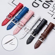 Substitute Tissot Langqin Casio dw Watch Strap Belt Women's Leather Men's Watch Chain Pin Buckle Accessories 12 14