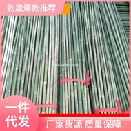 ‍🚢Free Shipping🚢Bamboo Bamboo Pole Vegetable Garden Rack Outdoor Flagpole Fence Bamboo Pole Bamboo Fence Green Bamboo So