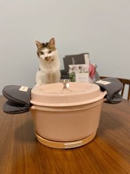 日本Vermicular 琺瑯鑄鐵圓鍋22cm粉紅色