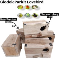 Thick & Hard Lovebird Parakeet Box Glodok
