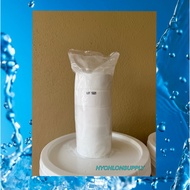 Chlorine 90% NISSAN TCCA 90 Tablets Japan (5Pcs/1KG)