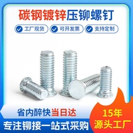 Environmentally Friendly Galvanized High Salt Fog Pressure Rivet Screw Pressure Plate Rivet Round He
