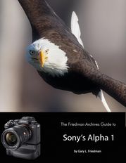 The Friedman Archives Guide to Sony's Alpha 1 Gary L. Friedman