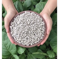 Pumice Stone | +/-6 Litres (2 kg/6kg)|  4mm - 8mm |