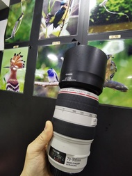canon 70 -300mm F4-5.6L IS USM EF 70-300