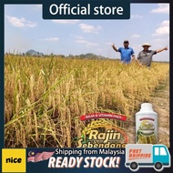 RAJIN SEBENDANG (1L) BAJA PADI VITAMIN PADI BAJA SILIKA TERTINGGI