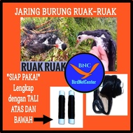 Jaring burung ruak-ruak 10 meter perangkap ruak-ruak jebakan burung ayam ayaman jaring ruak-ruak siap pakai jaring burung siap pakai jaring burung murah jaring burung besar jebakan burung besar