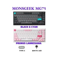 Akko mechanical keyboard