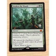 (PROMO)         Awaken      the       Woods