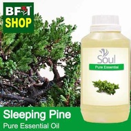 Pure Essential Oil (EO) - Pine - Sleeping Pine Essential Oil - 500ml