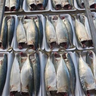 Sea cheek silver fish 1kg