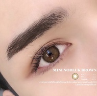 คอนแทคเลนส์ Dream Color1 Mini Nobluk(Gray,Brown) ค่าสายตา 0.00 ถึง -10.00