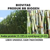 bibit biovitas bb biogen