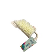 Fruit And Vegetable Brush Berus Buah Dan Sayur BYW-007果蔬刷 14.5cm x 4.2cm x 4cm DY-971570740075