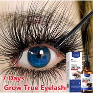 Eyelash serum eyelash serum growth 30ML 睫毛增長液 serum eyelash eyelash natural Eyelash Growth