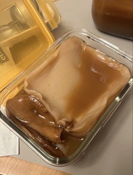 Kombucha Scoby 紅茶菌