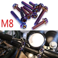 M8X16/20/25/30/35/40/45/50/55/60mm Torx RTAMO Titanium Motorcycle Screw Brake Disc Bolt Screw Anode Purple