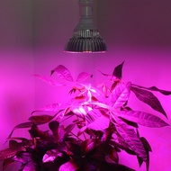 Đèn Trồng Cây Trồng Rau Trong Nhà LED Grow Lights 50W-E27 Đèn Quang Hợp Cho Cây