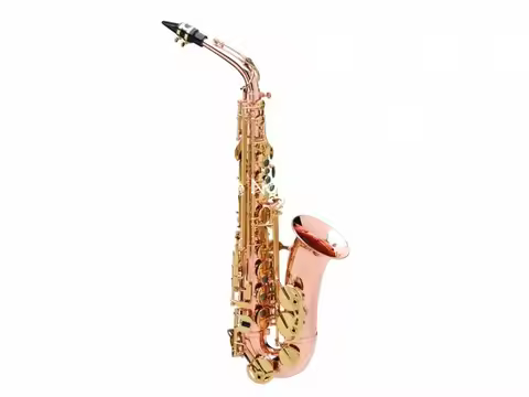 Hot Brand Buffet Crampon Alto Saxophone Eb Tune Red Brass Professional musical instruments With mout