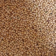 Kedelai Lokal Non GMO Organik GROSIR MIN 5 kg