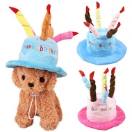 Dog cat birthday hat Dog barkday hat Dog hat cat hat