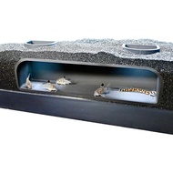 Aquarium Underground Tunnel Cave | Viewing Fish & Shrimp Under Gravel Tunnel | Fish Tank Decor Decor