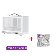 Shiny Scale G300Portable Case MATX Portable mini Computer Mainframe Desktop MATX