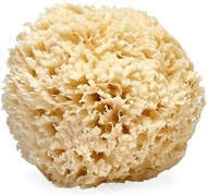 LATHER - Natural Sea Wool Sponge, 4-5" - Organic Exfoliating Body Scrubber - Soft, Gentle Cleansing 