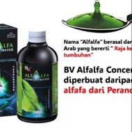 BV Alfafa