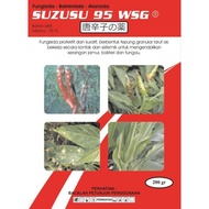 Suzusu - Antracide - Detacide, Fungisida Antraknosa Patek Cacar Buah