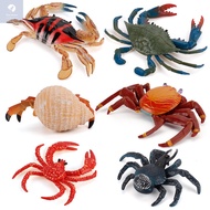 Children Toys Simulation Marine Life Crab Model King Crab Hermit Crab Coconut Crab Figure Ornaments