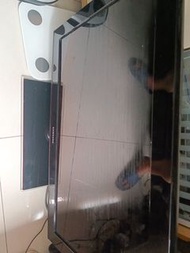 Samsung 電視機