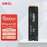 GeIL金邦 P4L固态硬盘PICE4.0台式机SSD笔记本电脑M.2(NVMe协议)高速ps5主机 P4L 2TB PCIE4.0