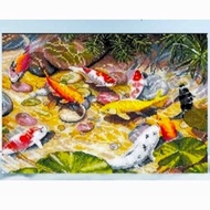 Koi Fish Cross Stitch Package 9 Fishes Full Cross Stitch 14Ct
