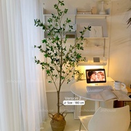 [พร้อมส่ง] Jnihouse : ต้นสึบากิประดิษฐ์ แถมตะกร้าสาน (Tsubaki Potted Plant)(Tree)