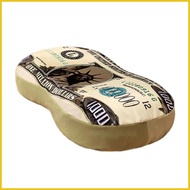 Money Nap Pillow Farmhouse Foam Comfort 13x9 Inches Pillow Hundreds Of Dollars Pillow In Fashion Sty