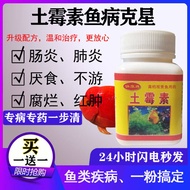 Fish with terrene mold fish aquatic koi enteritis fish medicine for the treatment of fish enteritis 