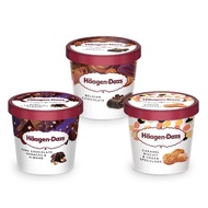 Haagen-Dazs Ice Cream Mini Cup 100ml (per pcs)