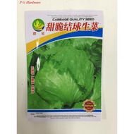 High Quality Vegetable Seed @08 - Iceberg Lettuce