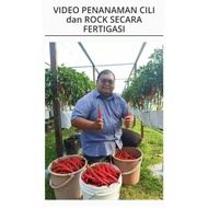 Video Penanaman Cili &amp; Rock Melon Secara Fertigasi