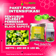 Pupuk Buah Black Sapote / Pupuk Penyubur Pohon Black Sapote / Pupuk Pembesar Buah Black Sapote Jumbo