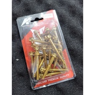 King Drag Y15zr Engine Screw Set Skru set for Y15 [Gold Colour] Ready Stock