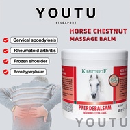 Authentic Krauterhof Balm Horse Chestnut Gel Balm Plant Formulated for Muscle & Joint Pain Relief Ma