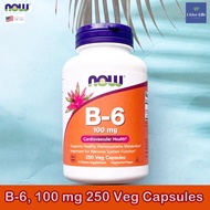 Vitamin B6 B-6 100 mg 250 Veg Capsules B6-Now Foods