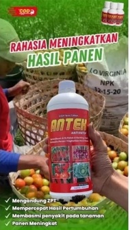 Pupuk Kebun Anti Patek & Keriting NPK 12-15-20 1 Liter - Solusi Pertumbuhan Tanaman