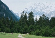 5-day tour of Tibet's wild luxury in the secret land of Nyingchi in the east (Nangabawa Sunshine Gol